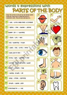Words and expressions