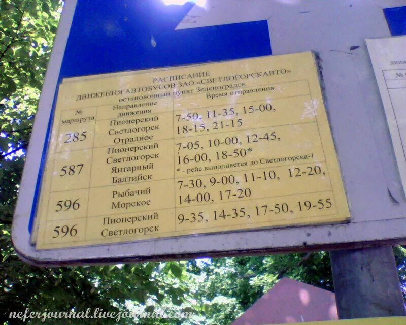 587 балтийск. Расписание автобусов Пионерский Светлогорск. Автобус Пионерский Светлогорск. Светлогорск Янтарный автобус. Автобус Янтарный Балтийск.