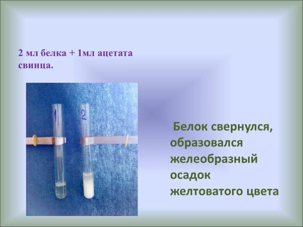 Студенистый осадок это. Ацетат свинца раствор. Белок и Ацетат свинца 2. Реакция с ацетатом свинца. Раствор белка и Ацетат свинца реакция.