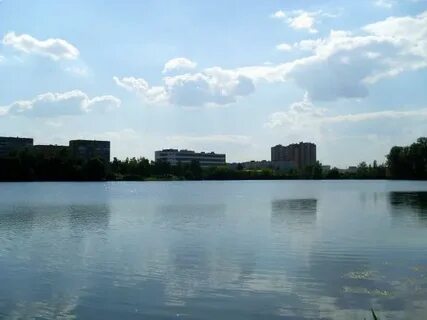 Краскова карьеры