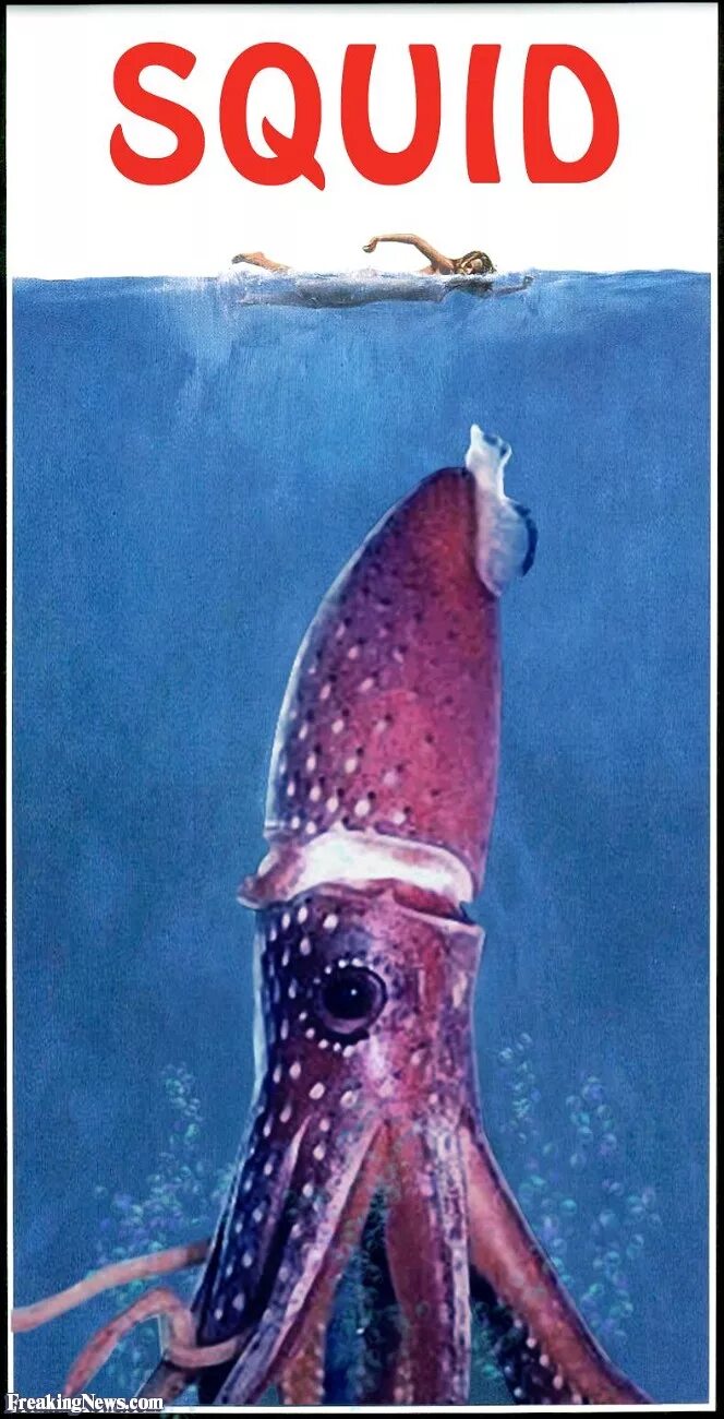 Squid через squid