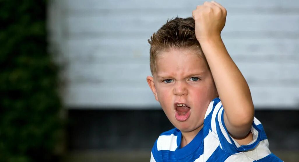 Why kid. Воспоминания ребенка. Школьник кричит. Брат смеха что это. Who can climb.