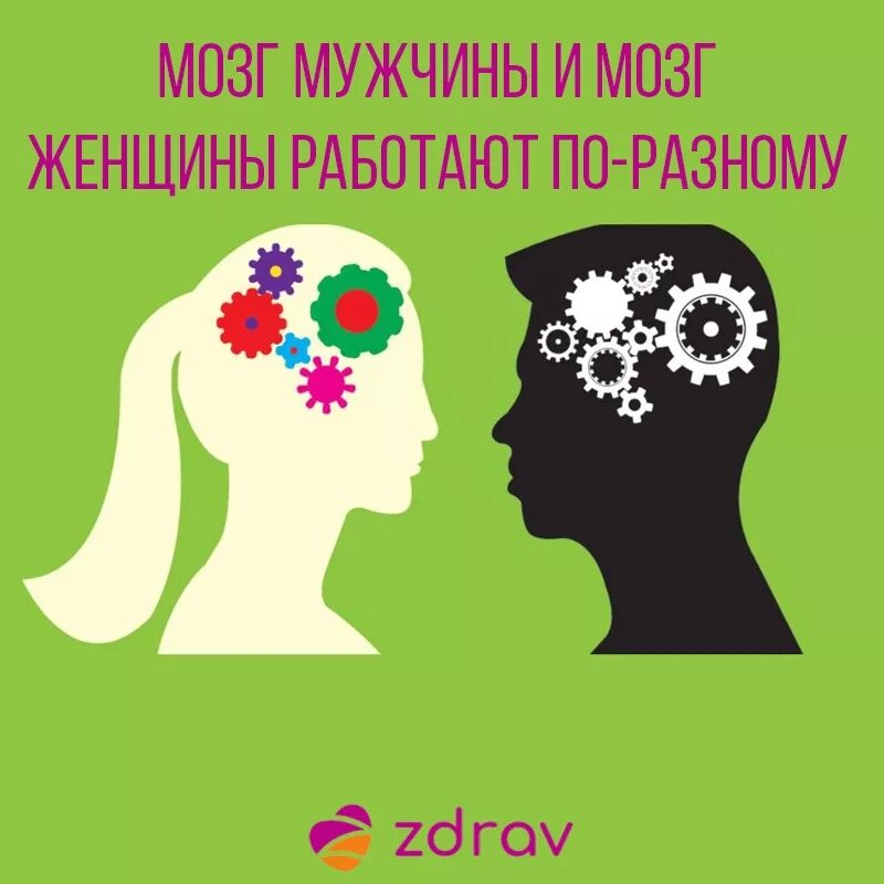 Мышление мужчины женщины. Мозг мужчины и женщины. мужской и женский мозг. женское мышление. мышление мужчины и женщины.