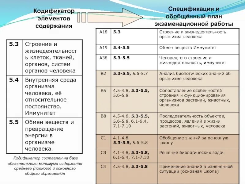 Кодификатор география 2024. Кодификатор элементов содержания. Кодификатор Обществознание. План экзаменационного проекта. Кодификатор экономика ОГЭ.