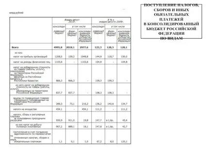 Иные платежи в бюджетную систему
