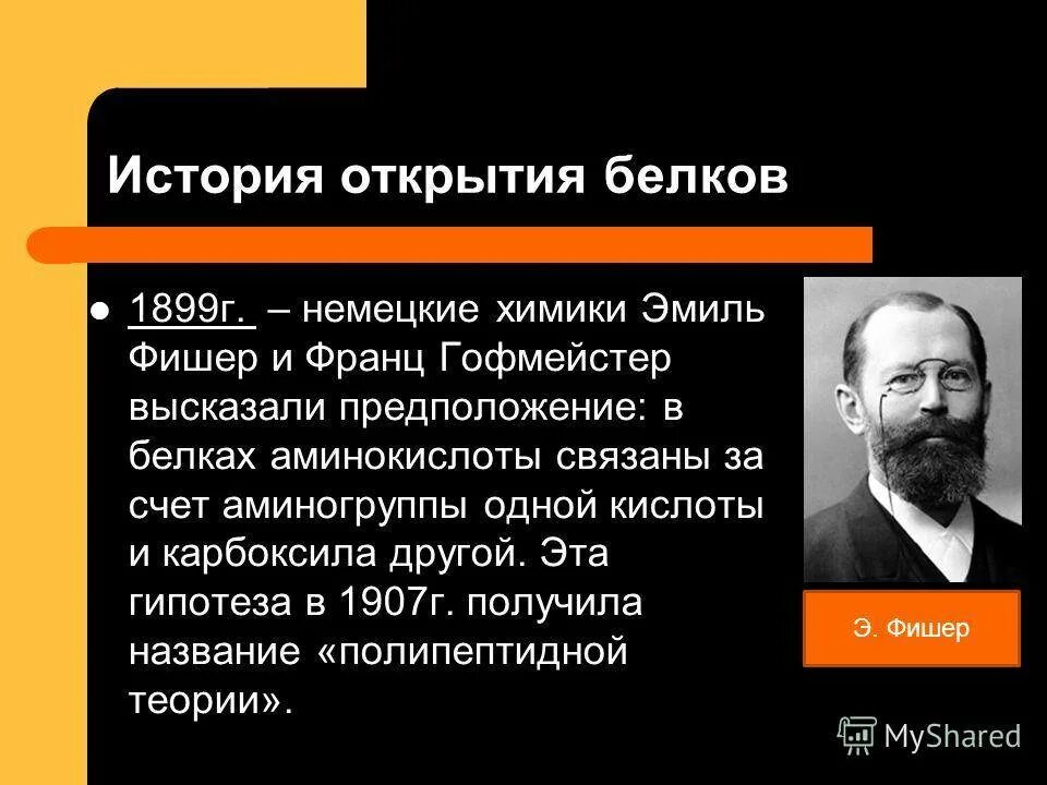 История открытия белков кратко. История открытия белков кратко. История открытия белков. История открытия белка. История изучения белка.