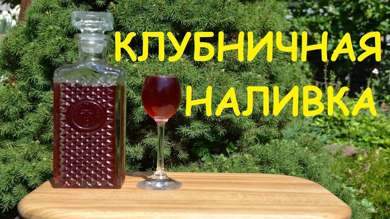 Ягодный настой. Алкогольный напиток наливка. Сливовая наливка. Правильная наливка. Наливка из вишни.