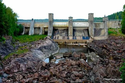 Форека светогорск