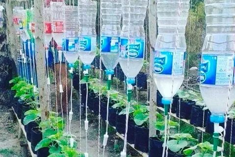 Из бутылки сделать капельный полив
