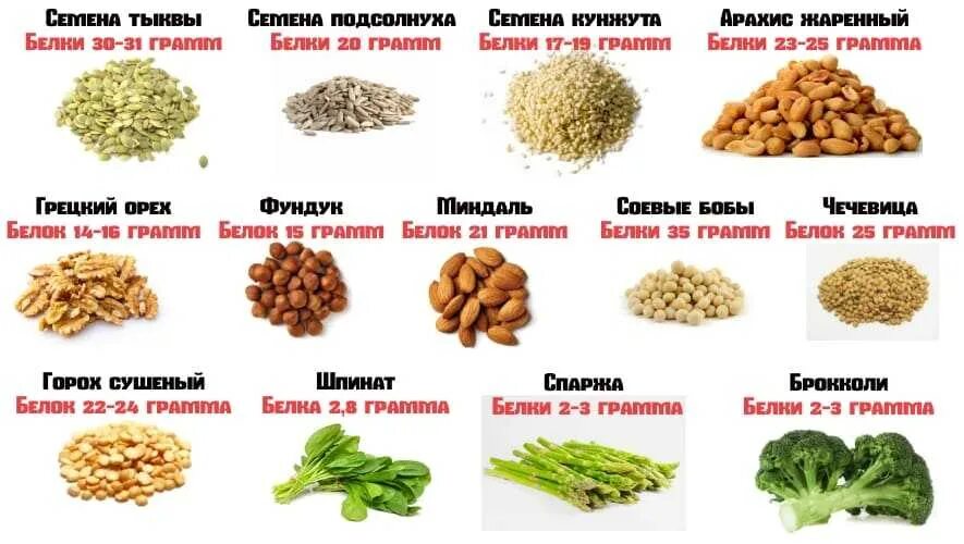 Продукты с максимальным содержанием белка таблица. Растительная пища с высоким содержанием белка таблица. Растительный белок таблица продуктов. Продукты содержащие белки растительного происхождения. Растительная пища с высоким содержанием белка таблица.