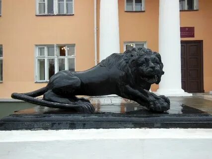 Лев петрозаводск