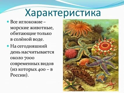 Из них 1 морскую