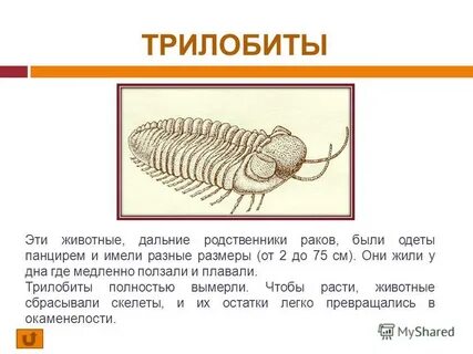 Период они