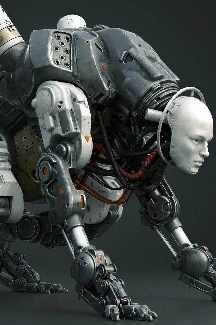 Robot suit