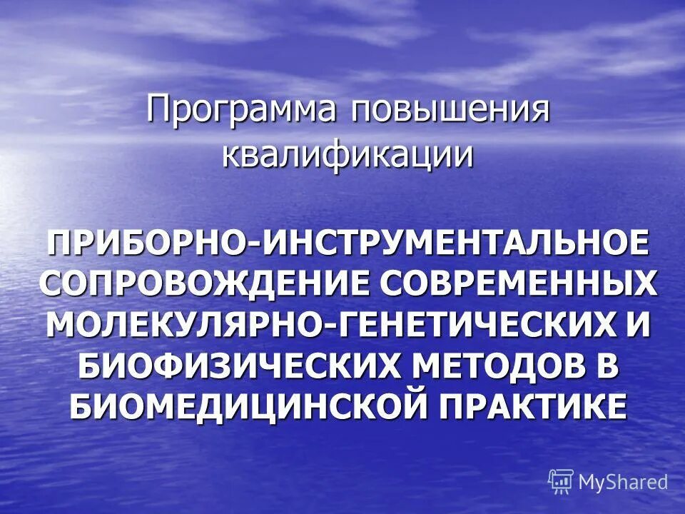 инструментальное сопровождение солиста