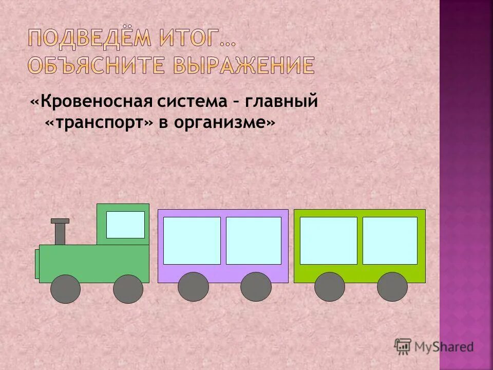 Кровеносная система 6 класс биология. Объяснить выражение кровеносная система транспорта страны. От чего зависит движение крови по кровеносным сосудам. Кровеносная система рептилий. Объяснить выражение кровеносная система транспорта страны.