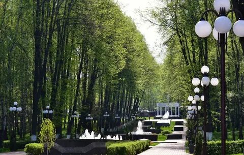 Березовая роща дмитровское