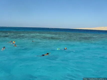Красное море купание
