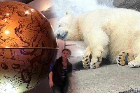 Планетарий московский зоопарк