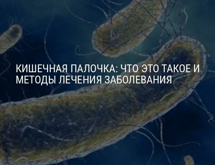 Кишечная палочка отзывы. Кишечная палочка симптомы. Кишечная палочка причины. Признаки кишечной палочки.