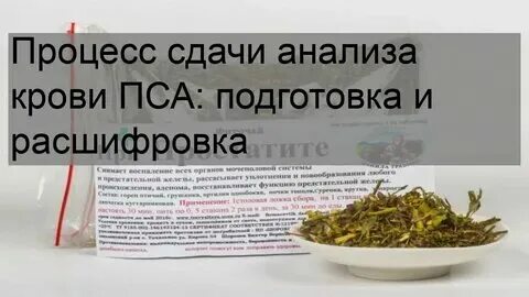 Анализ пса сдают натощак