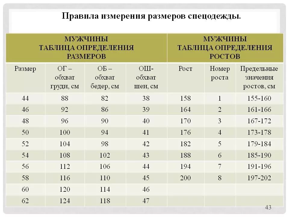 Линейные размеры спецодежда