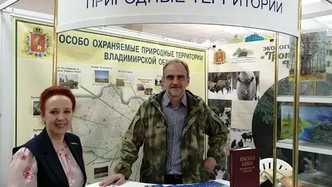Экология владимирская