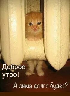 Здесь теплее