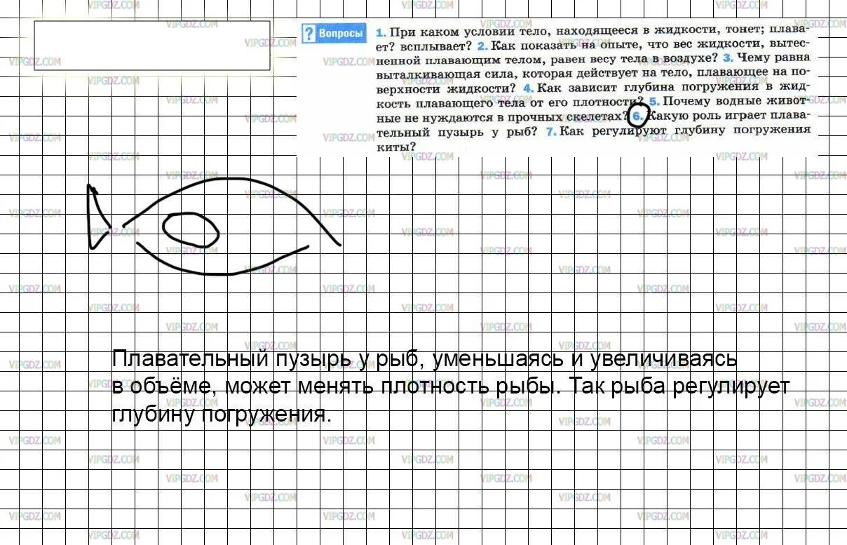 При каком условии тело тонет в жидкости. ПРИКАКИМ условии тело тогет в дидклсти. Глубина погружения кита. Физика 7 класс параграф 52.