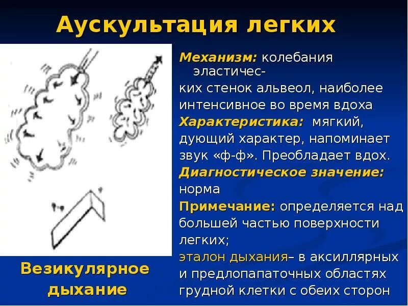 Аускультация везикулярного дыхания. Эмфизема легких аускультативная картина. Эмфизема легких аускультация. Эмфизема легких аускультативно. Аускультация легких везикулярное дыхание.