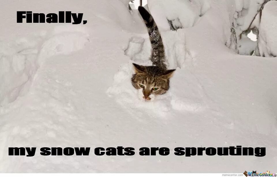 My snow and me