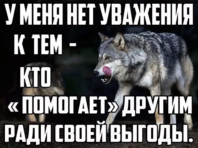 Использует для своей выгоды. Цитаты про выгоду. фразы о выгоде. ради выгоды цитаты. друзья ради выгоды.