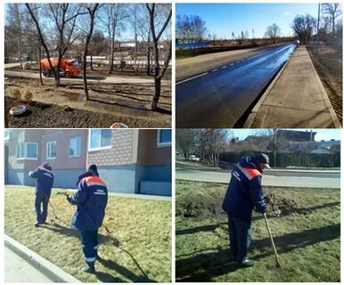 Жилищник нижегородский