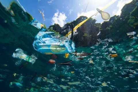 Глобальное загрязнение мирового океана
