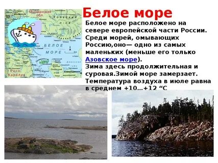 Белое море доклад 4 класс