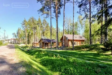 Приветнинское ленинградская область