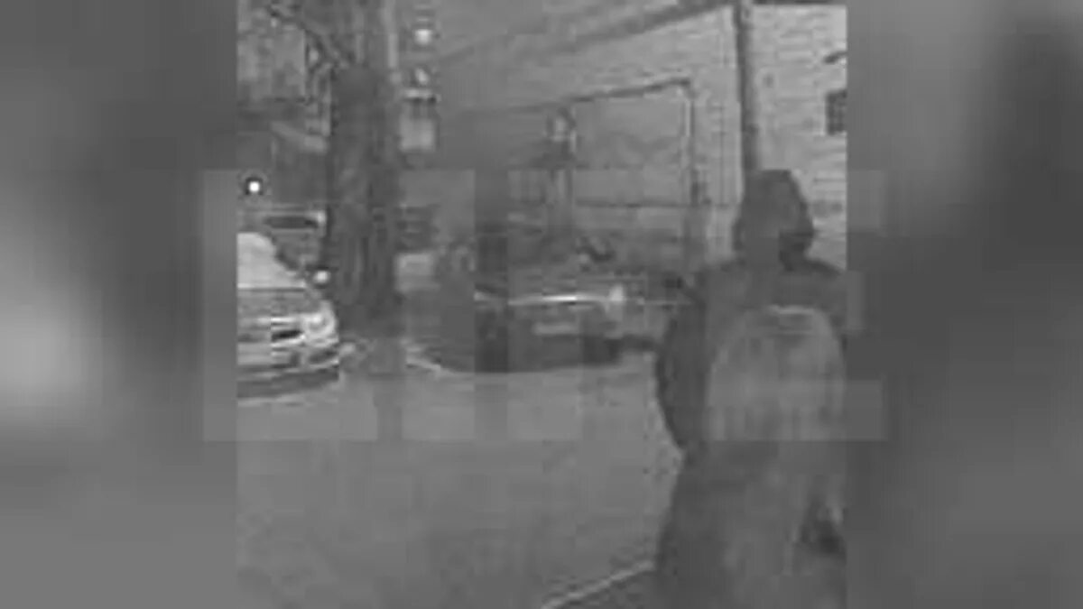 Лайф видео прямой эфир