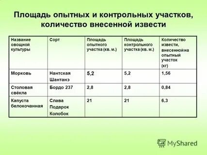Опытная площадь