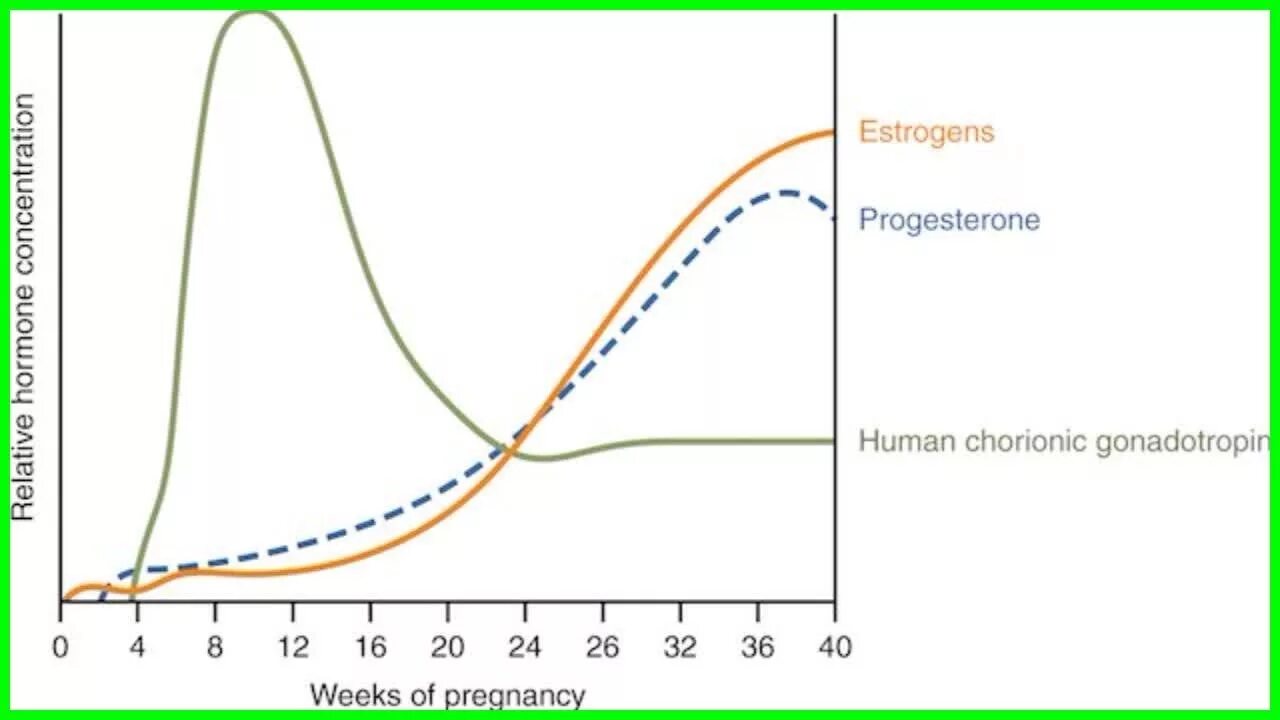 Прогестерон 5 неделя. Estrogen pregnancy. Pregnancy Hormones. Grafic pregnancy. Hormone changesdurind early Stage of the pregnant.