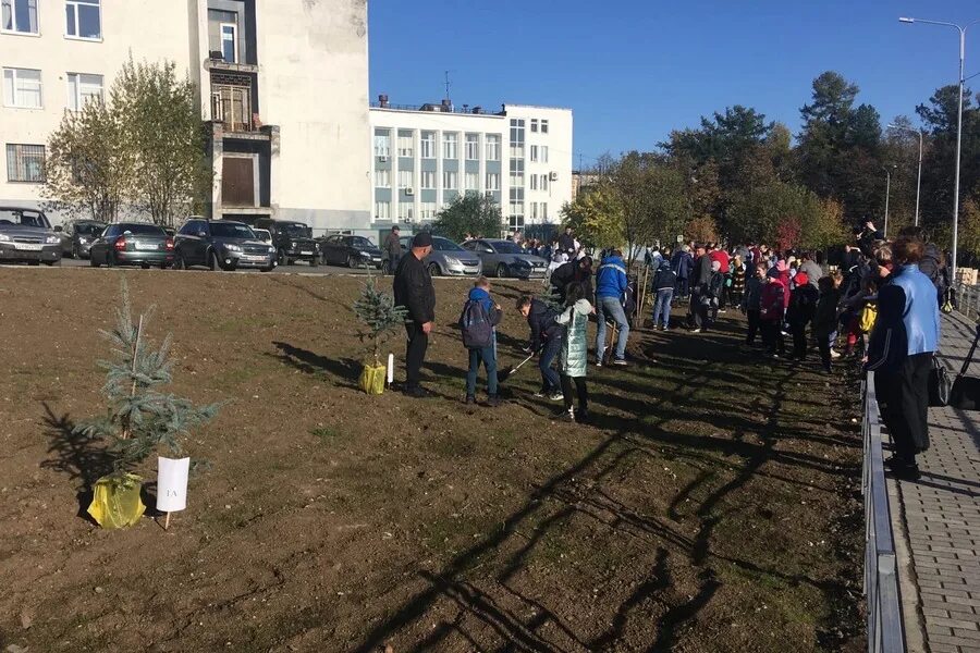 Прогноз в кушве на сегодня. Благоустройство Кушва. Кушва аллея за администрацией. Новый парк Кушва.