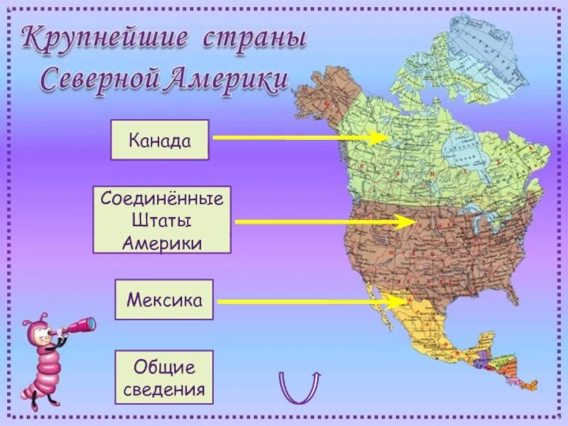 Определите столицы государств северной америки результаты. Страны Северной Америки. Старня Северной Америки. Материк Северная Америка страны. Государства на материке Северная Америка.