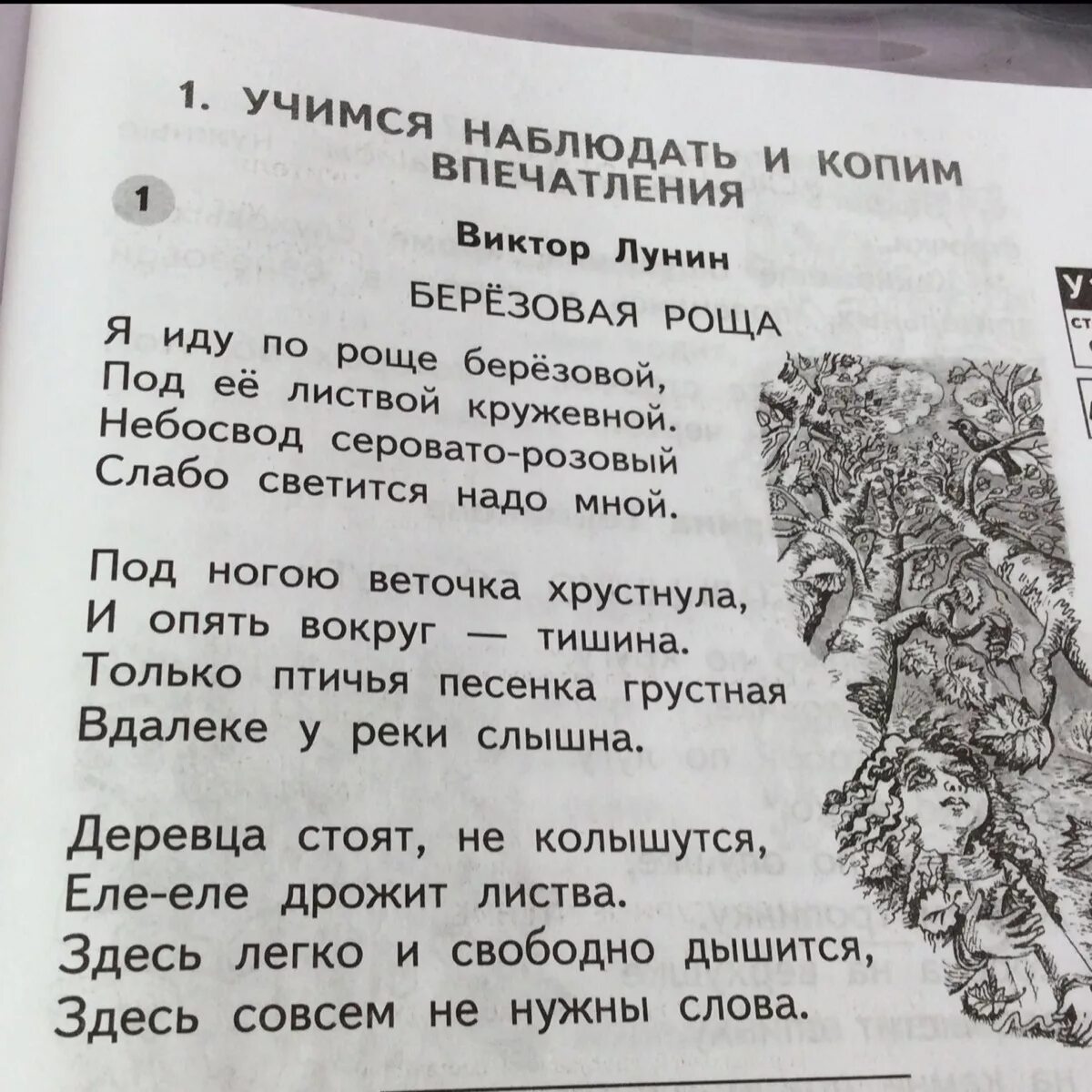 Берёзовая роща стихотворение. Стихотворение в в Лунин Березовая роща. Стихотворение Лунина Березовая роща. Стих про рощу.