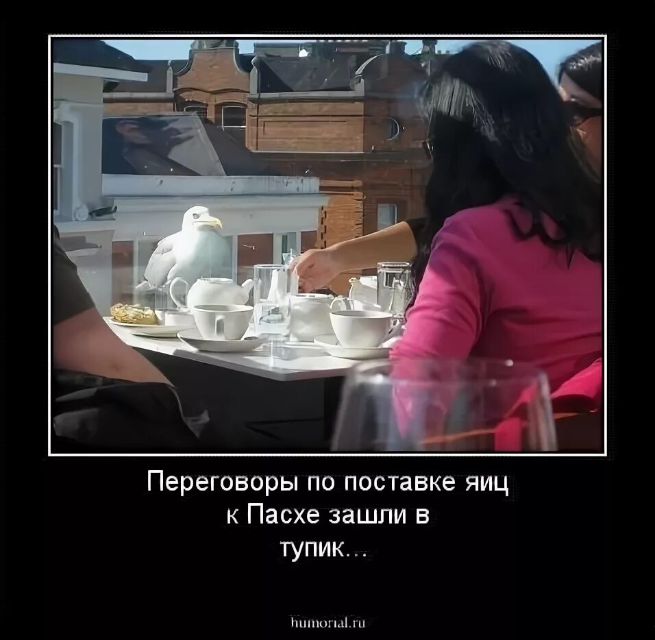 Заходи договоримся. Переговоры зашли в тупик. Если переговоры зашли в тупик. Демотиваторы про котов и елки. Переговоры зашли в тупик.