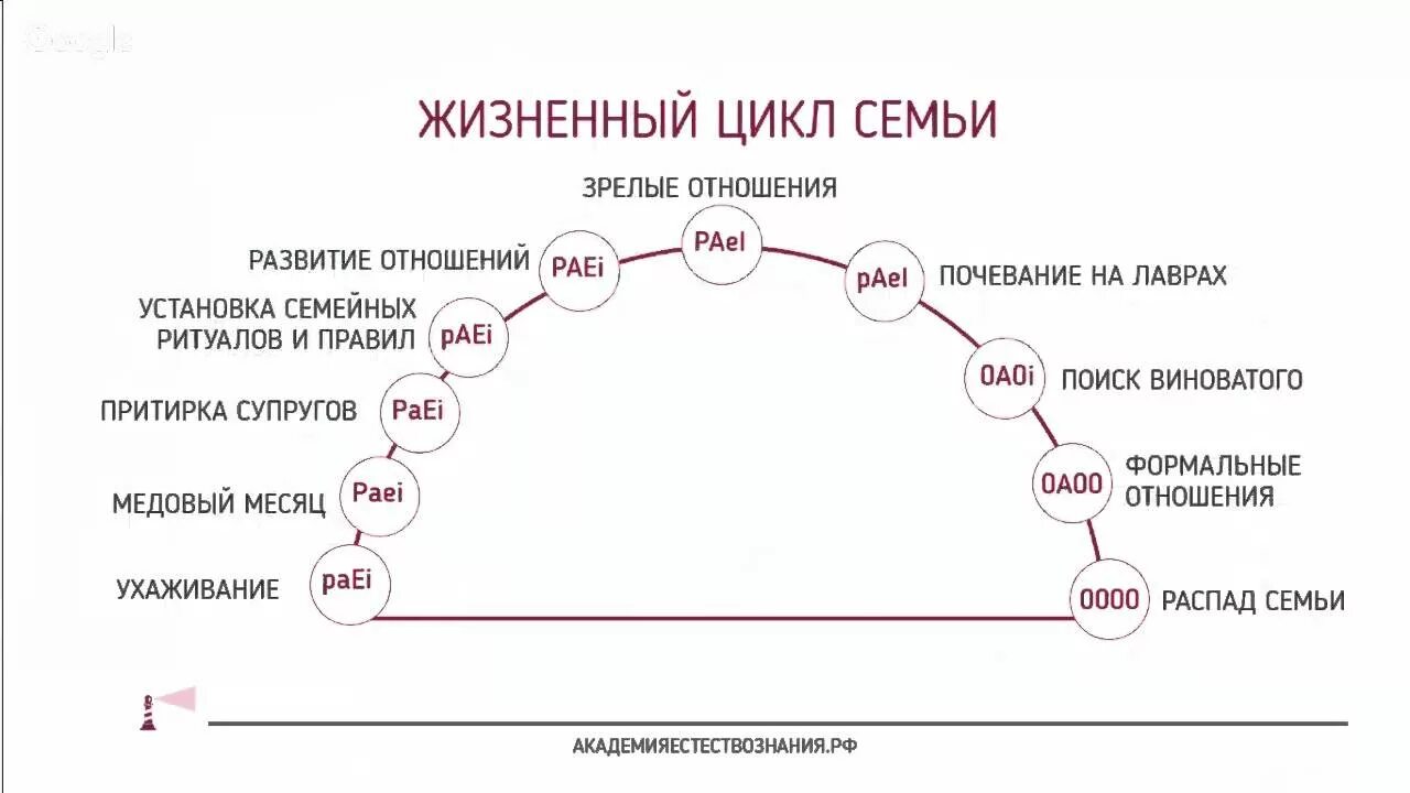 Как определить развитие отношений. Этапы жизненного цикла семьи схема. Стадии семейного жизненного цикла. Стадии жизненного цикла семьи в психологии. Фазы жизненного цикла семьи.