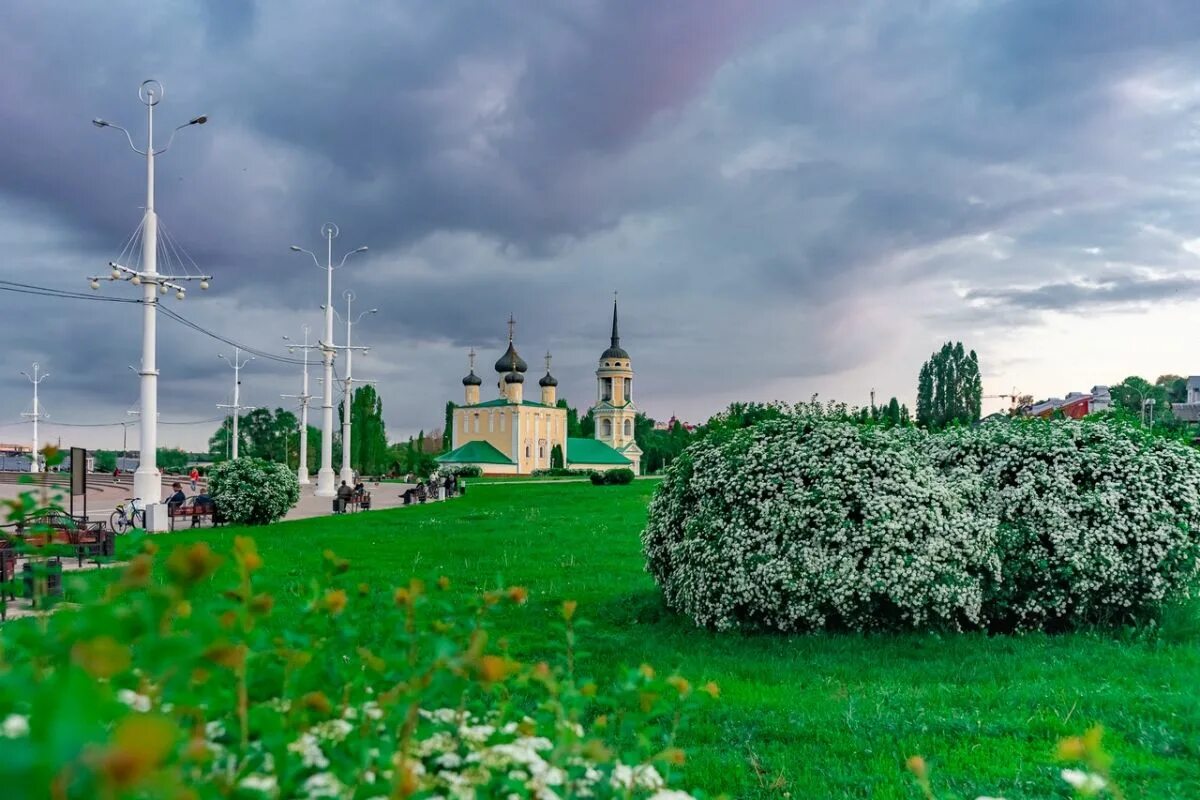 Климат Воронежа. Воронеж в июне. Климат Воронежской области фото. Климат и экология Воронежа. Сайты погоды воронеж