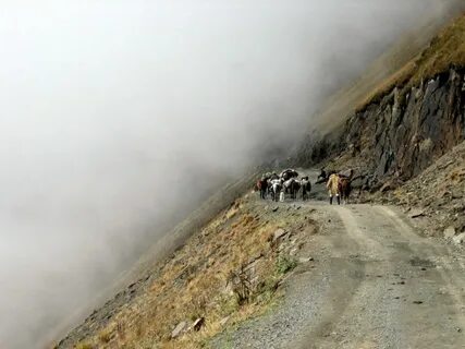Опасная грузия