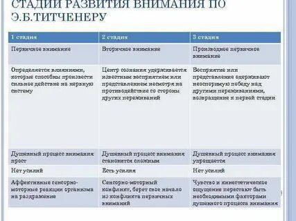 Этапы внимания