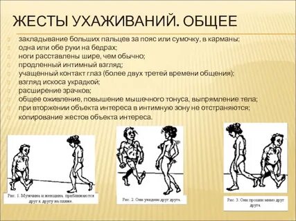 52 жест