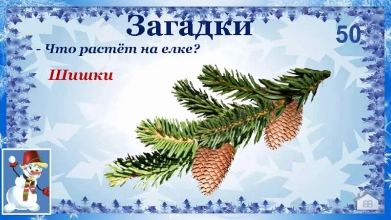 Загадка про шишку. Загадки про шишки. Загадки о шишках. Что растет на елке. Ребус шишка