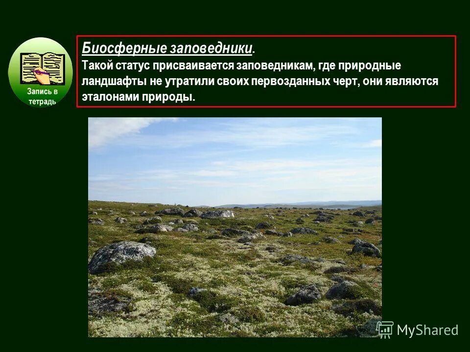 биосферный заповедник эьл. цель биосферных заповедников. биосферный заповедник цели. животные из красной книги кавказского биосферного заповедника. биосфера кавказского природного заповедника.